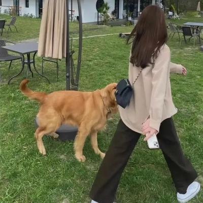 一只土拨鼠能啃掉多少